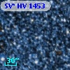 SV* HV  1453