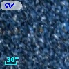 SV* HV 11165