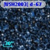 [WSH2003] d-67