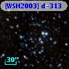 [WSH2003] d-313