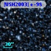 [WSH2003] e-98