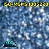 2MASS J00522872-7309567
