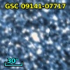 GSC 09141-07717