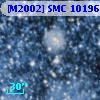 [M2002] SMC  10196