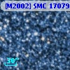 [M2002] SMC  17079