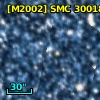 [M2002] SMC  30018