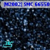 [M2002] SMC  66550