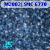 [M2002] SMC   6770