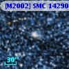 [M2002] SMC  14290