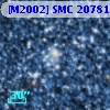 [M2002] SMC  20781