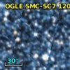 OGLE J005531.57-724307.8