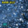 RAW  613