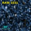 RAW 1031