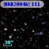 [BKB2004b] 111
