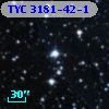 TYC 3181-42-1