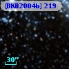 [BKB2004b] 219