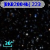 [BKB2004b] 223
