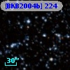 [BKB2004b] 224