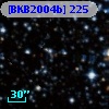 [BKB2004b] 225