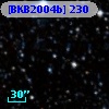 [BKB2004b] 230