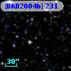 [BKB2004b] 231