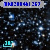 [BKB2004b] 267
