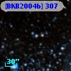 [BKB2004b] 307
