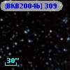[BKB2004b] 309