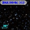 [BKB2004b] 313
