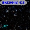 [BKB2004b] 429