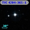 TYC 4204-365-1