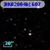 [BKB2004b] 607