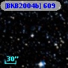 [BKB2004b] 609