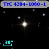 TYC 4204-1080-1