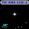 TYC 4204-1116-1