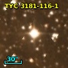 TYC 3181-116-1
