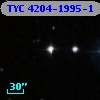 TYC 4204-1995-1