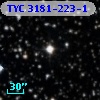TYC 3181-223-1