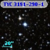 TYC 3181-290-1