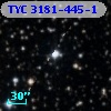TYC 3181-445-1