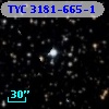 TYC 3181-665-1