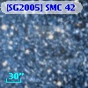 [SG2005] SMC 42
