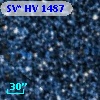 SV* HV  1487