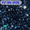 SV* HV  1876