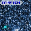 SV* HV  1624