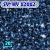 SV* HV 12112