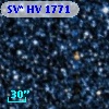 SV* HV  1771