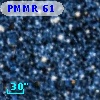 PMMR  61