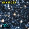 SkKM 223