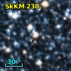 SkKM 238
